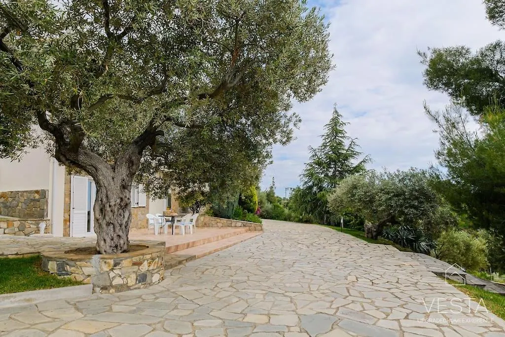 Yiasemi Open-Plan Suite, Near Lagomandra Beach Greece
